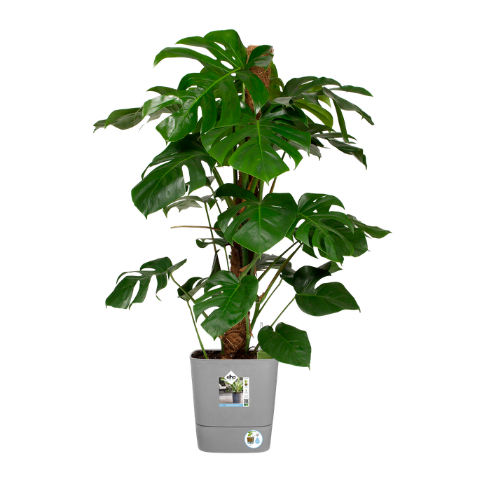 greensense aqua care vierkant 30cm licht beton